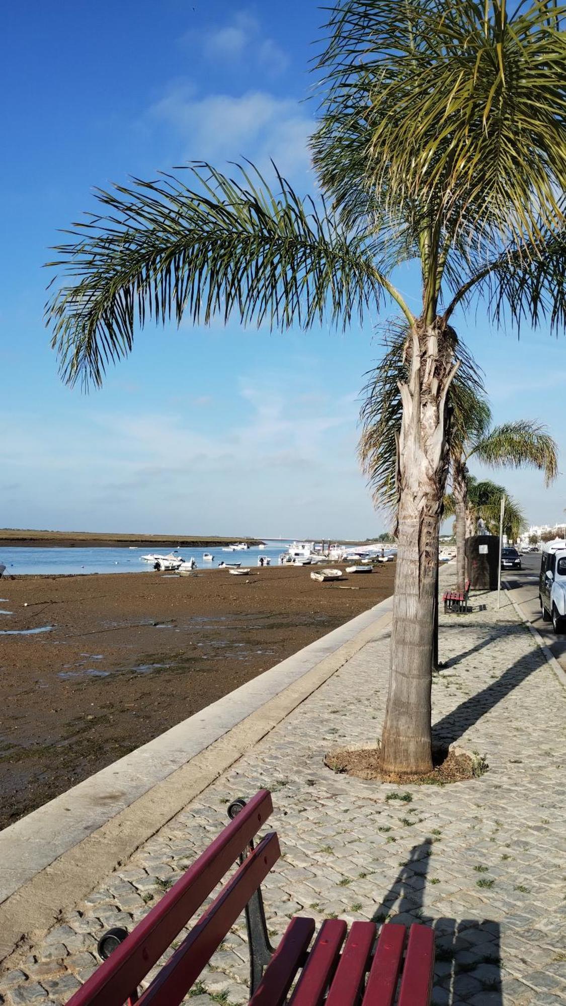 Casinha Secreta - A Gema Escondida Da Santa Luzia Apartman Santa Luzia  Kültér fotó